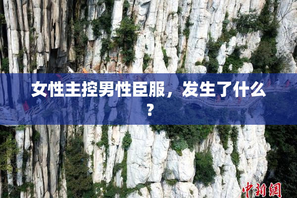 女性主控男性臣服，发生了什么？