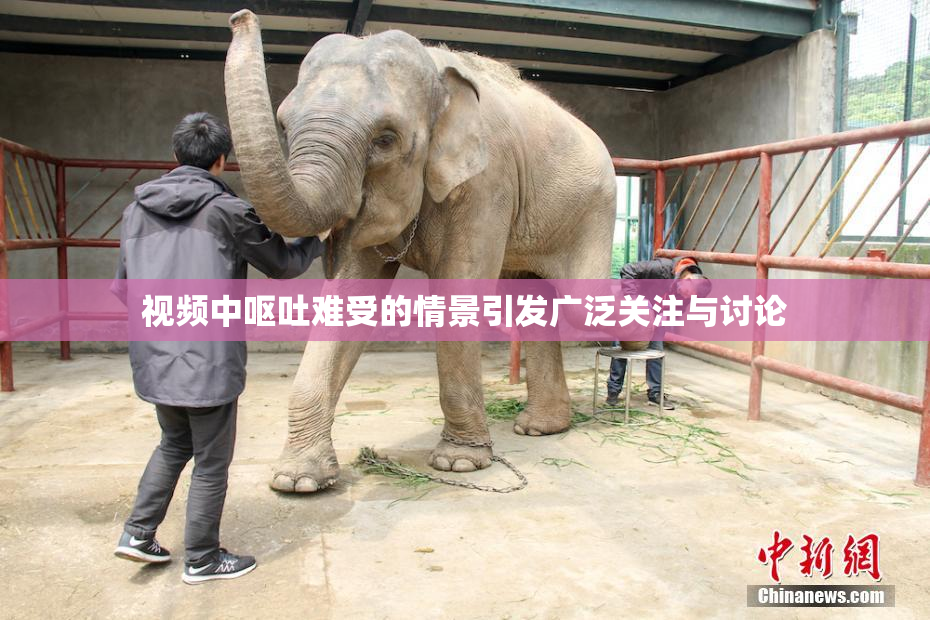 视频中呕吐难受的情景引发广泛关注与讨论