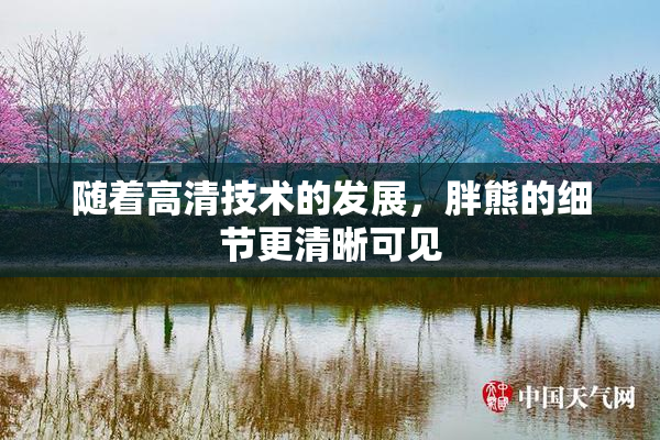 随着高清技术的发展，胖熊的细节更清晰可见