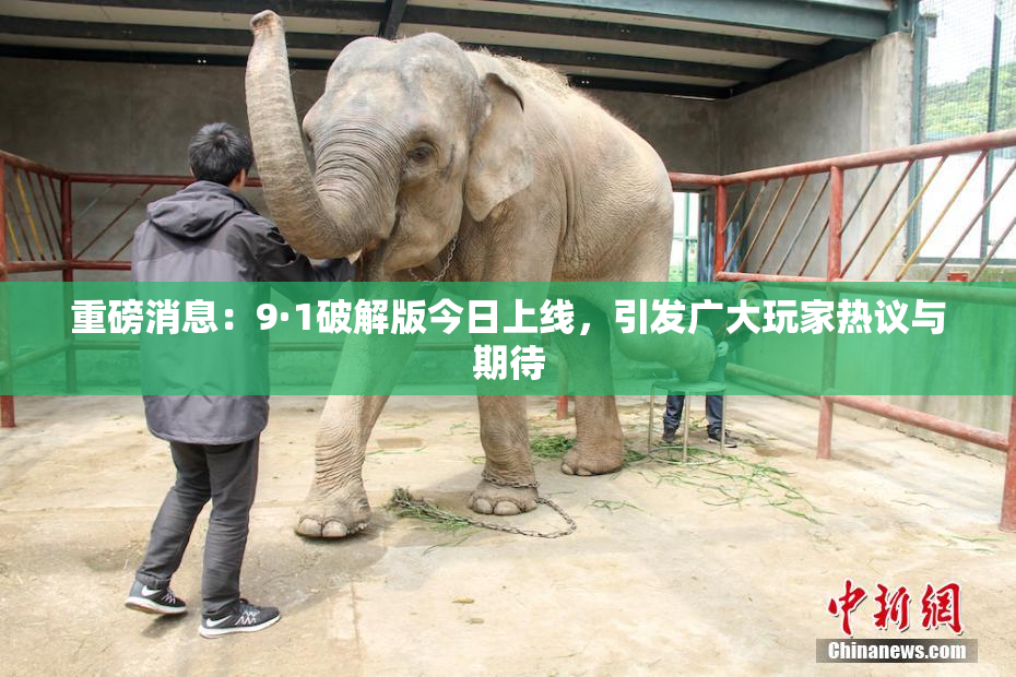重磅消息：9·1破解版今日上线，引发广大玩家热议与期待