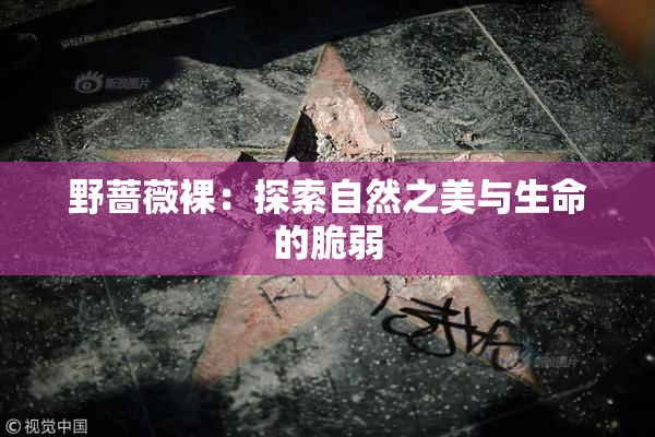 野蔷薇裸：探索自然之美与生命的脆弱