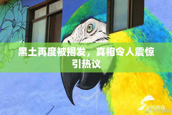 黑土再度被揭发，真相令人震惊引热议