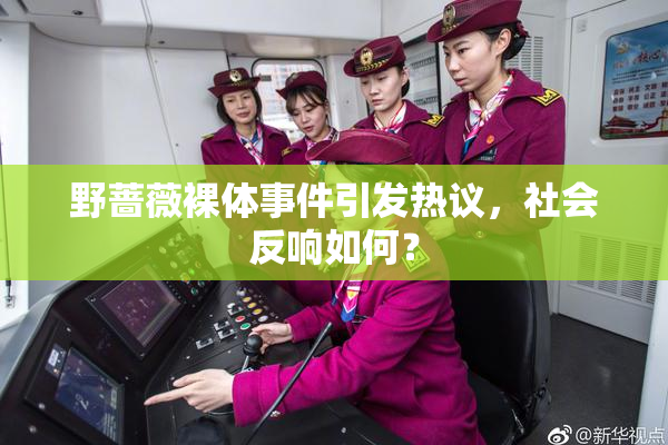 野蔷薇裸体事件引发热议，社会反响如何？