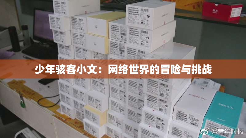 少年骇客小文：网络世界的冒险与挑战