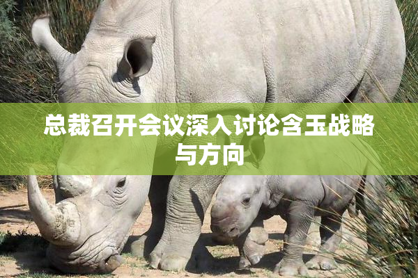 总裁召开会议深入讨论含玉战略与方向