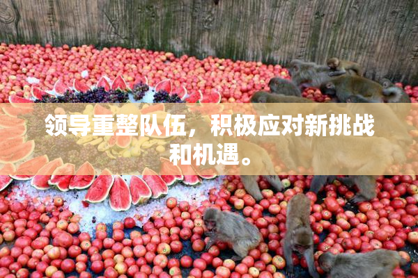 领导重整队伍，积极应对新挑战和机遇。