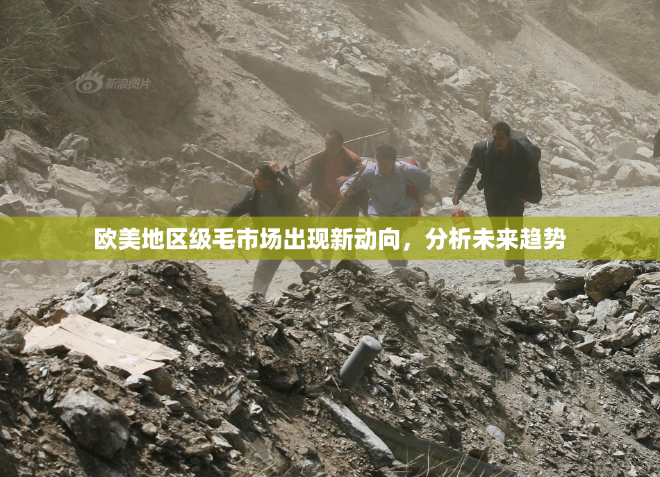 欧美地区级毛市场出现新动向，分析未来趋势