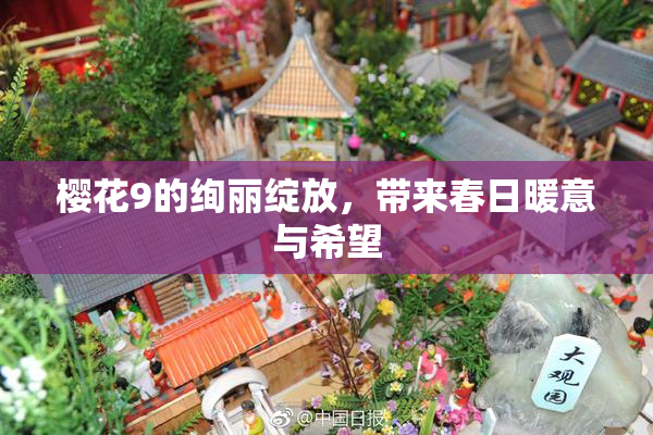 樱花9的绚丽绽放，带来春日暖意与希望
