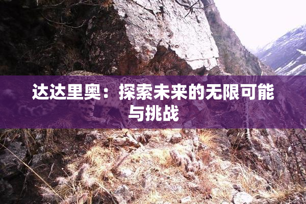 达达里奥：探索未来的无限可能与挑战