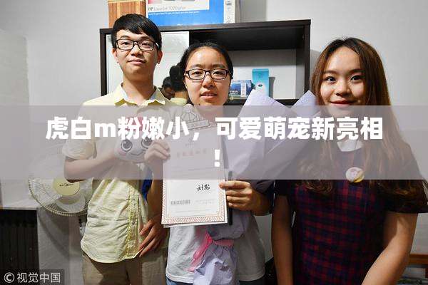 虎白m粉嫩小，可爱萌宠新亮相！