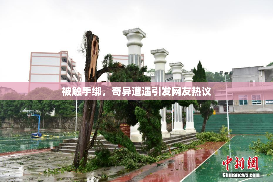 被触手绑，奇异遭遇引发网友热议