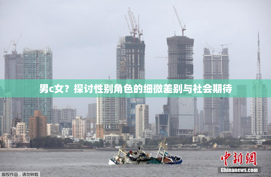 男c女？探讨性别角色的细微差别与社会期待