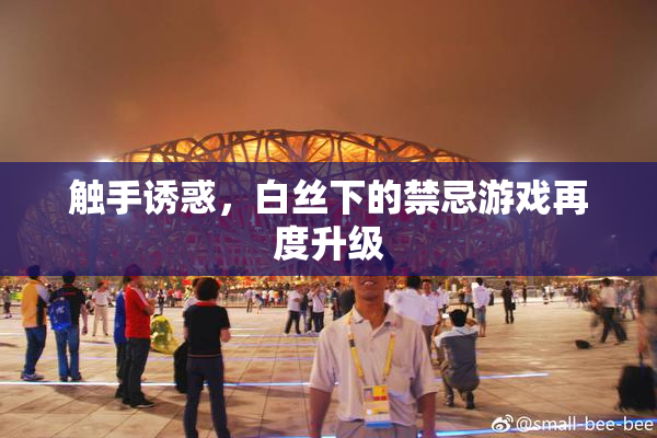 触手诱惑，白丝下的禁忌游戏再度升级