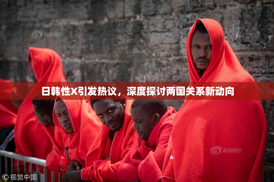 日韩性X引发热议，深度探讨两国关系新动向