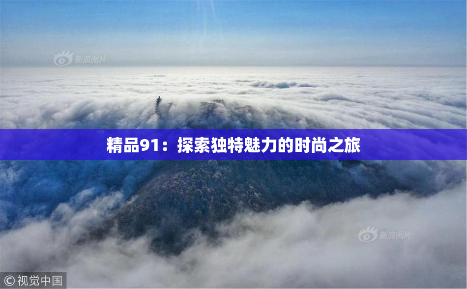 精品91：探索独特魅力的时尚之旅