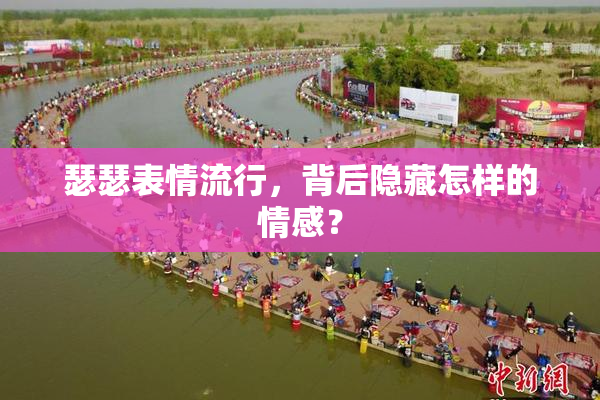 瑟瑟表情流行，背后隐藏怎样的情感？