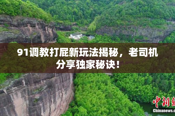 91调教打屁新玩法揭秘，老司机分享独家秘诀！