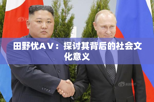 田野忧AⅤ：探讨其背后的社会文化意义