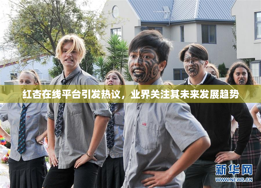 红杏在线平台引发热议，业界关注其未来发展趋势