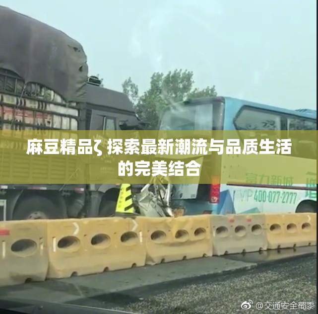 麻豆精品ζ 探索最新潮流与品质生活的完美结合