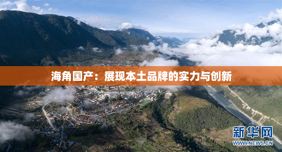 海角国产：展现本土品牌的实力与创新
