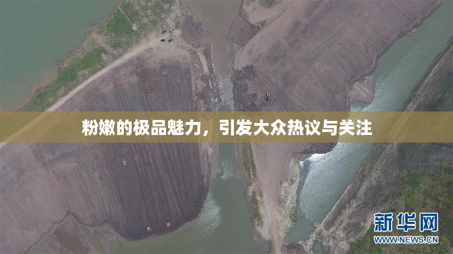 粉嫩的极品魅力，引发大众热议与关注