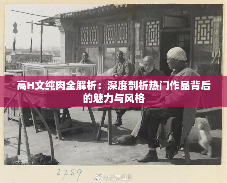 高H文纯肉全解析：深度剖析热门作品背后的魅力与风格