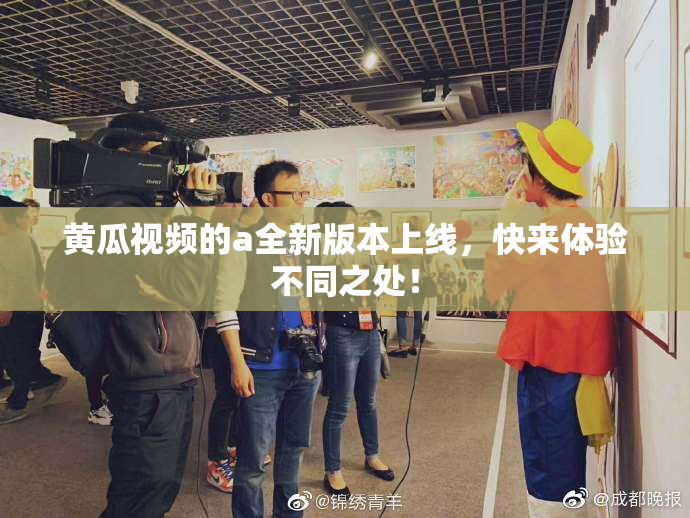 黄瓜视频的a全新版本上线，快来体验不同之处！