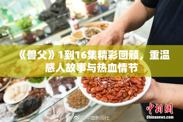 《兽父》1到16集精彩回顾，重温感人故事与热血情节