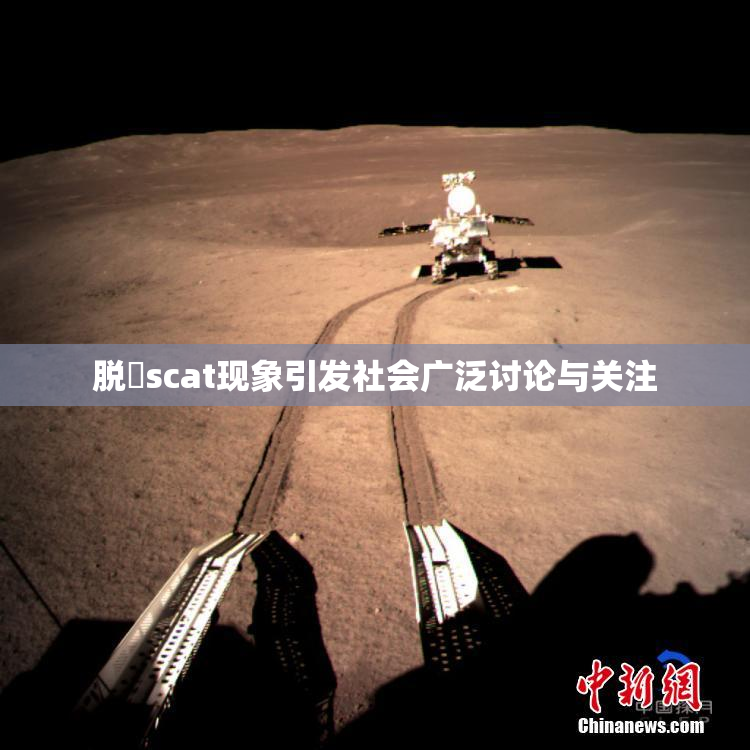 脱糞scat现象引发社会广泛讨论与关注