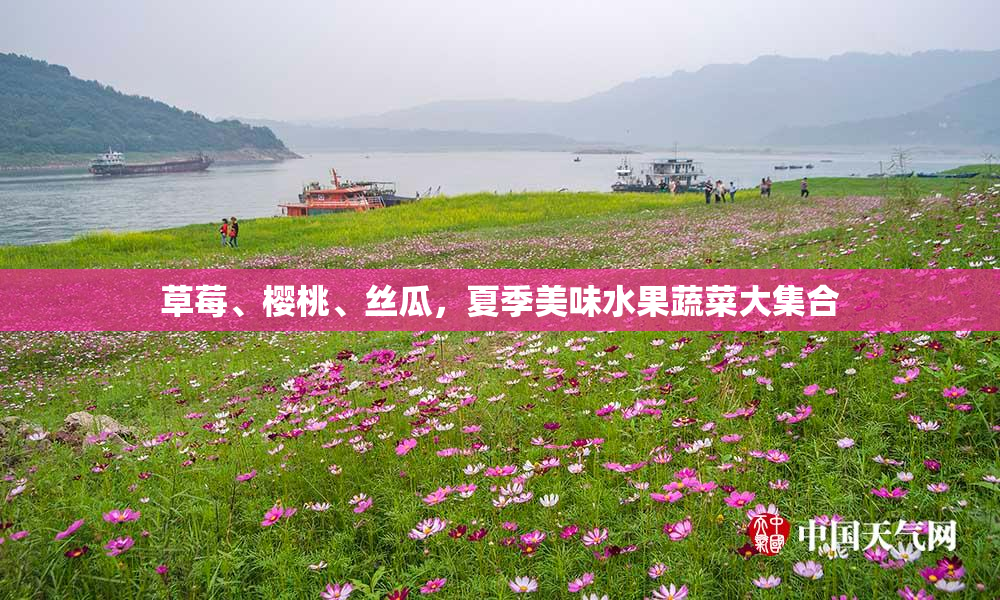 草莓、樱桃、丝瓜，夏季美味水果蔬菜大集合