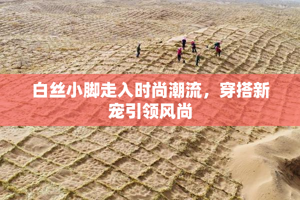 白丝小脚走入时尚潮流，穿搭新宠引领风尚