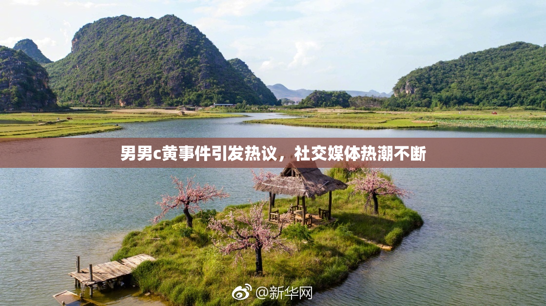 男男c黄事件引发热议，社交媒体热潮不断