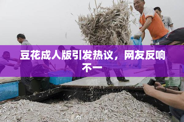 豆花成人版引发热议，网友反响不一