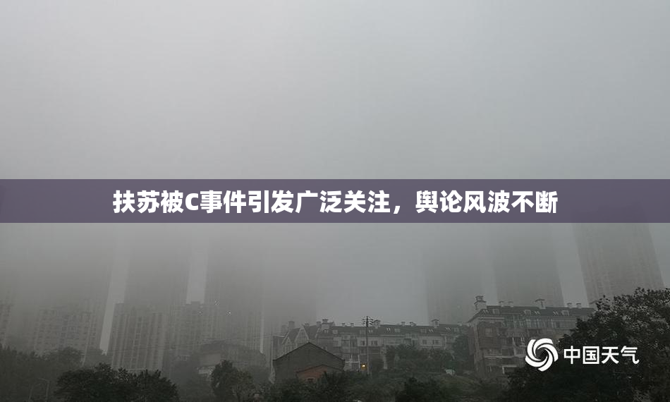 扶苏被C事件引发广泛关注，舆论风波不断