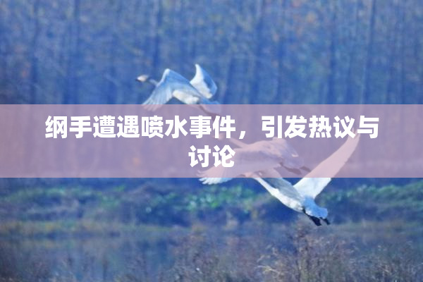 纲手遭遇喷水事件，引发热议与讨论