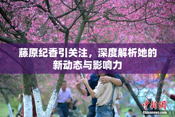 藤原纪香引关注，深度解析她的新动态与影响力