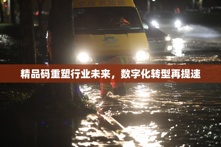 精品码重塑行业未来，数字化转型再提速