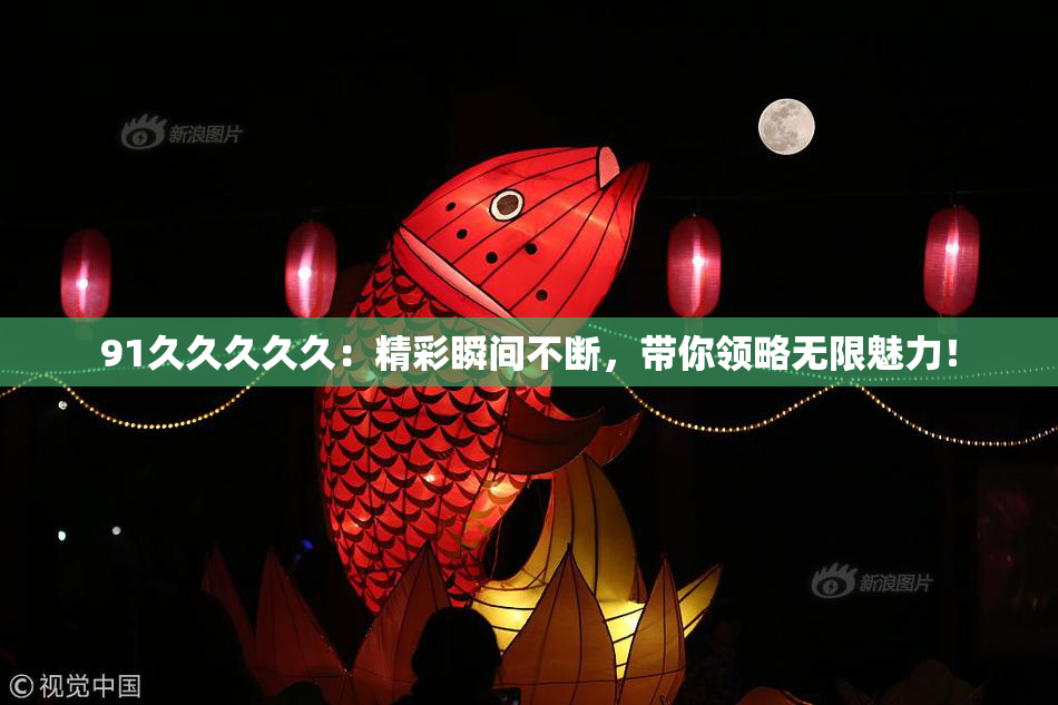 91久久久久久：精彩瞬间不断，带你领略无限魅力！