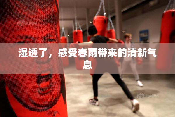 湿透了，感受春雨带来的清新气息