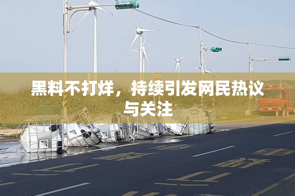 黑料不打烊，持续引发网民热议与关注