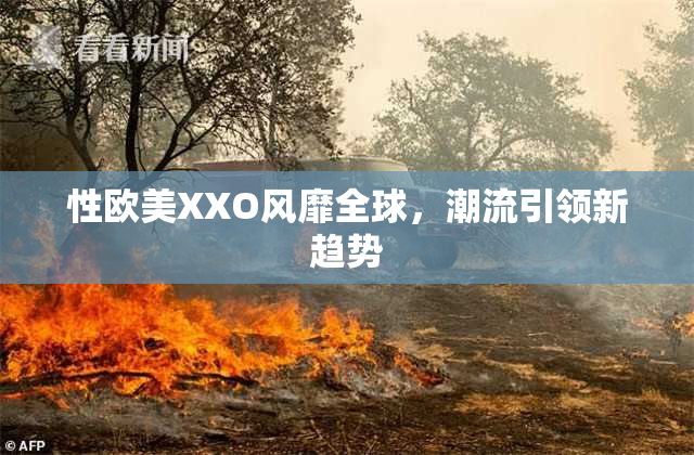 性欧美XXO风靡全球，潮流引领新趋势