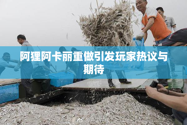 阿狸阿卡丽重做引发玩家热议与期待