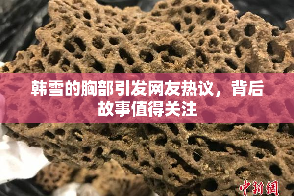 韩雪的胸部引发网友热议，背后故事值得关注
