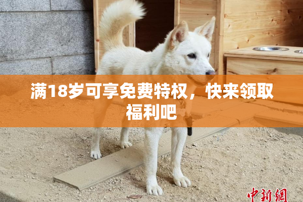 满18岁可享免费特权，快来领取福利吧