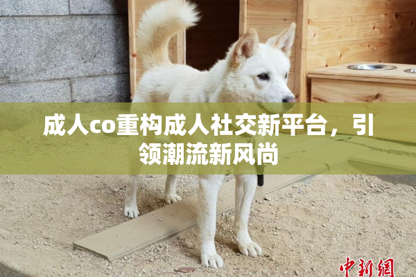 成人co重构成人社交新平台，引领潮流新风尚
