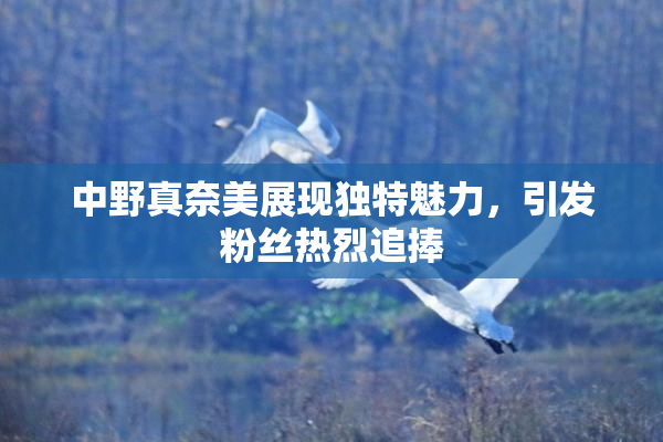 中野真奈美展现独特魅力，引发粉丝热烈追捧