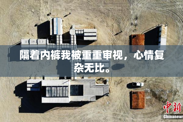 隔着内裤我被重重审视，心情复杂无比。