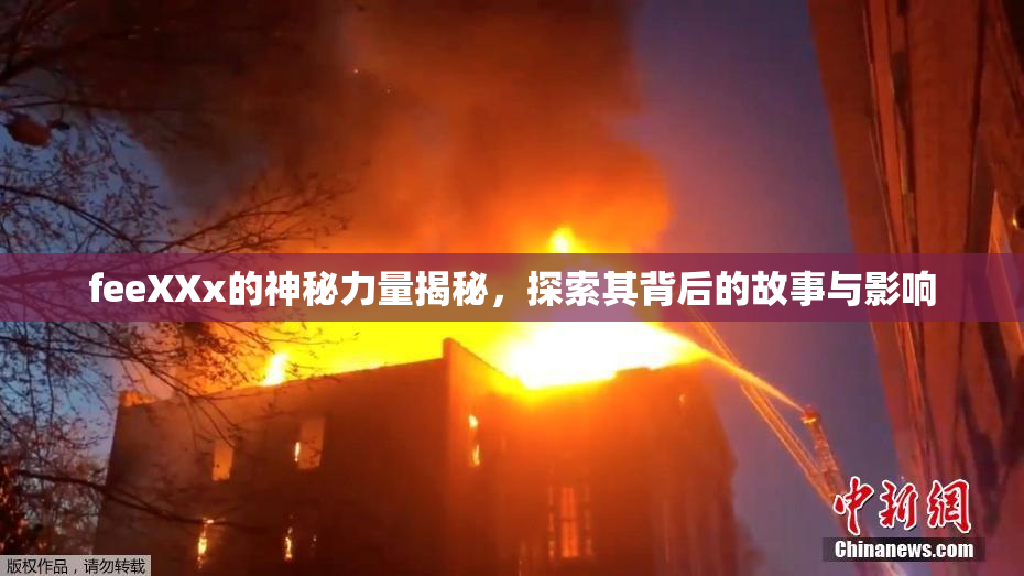 feeXXx的神秘力量揭秘，探索其背后的故事与影响
