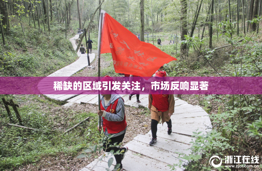 稀缺的区域引发关注，市场反响显著